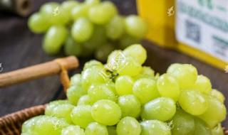 三倍体无籽西瓜 三倍体无籽西瓜