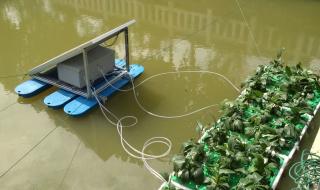 水上人工生态浮岛